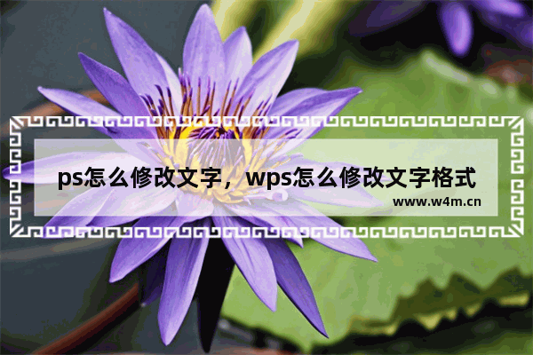 ps怎么修改文字，wps怎么修改文字格式