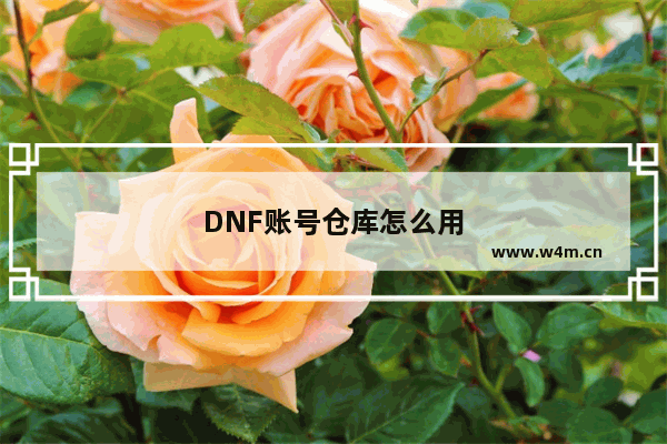 DNF账号仓库怎么用