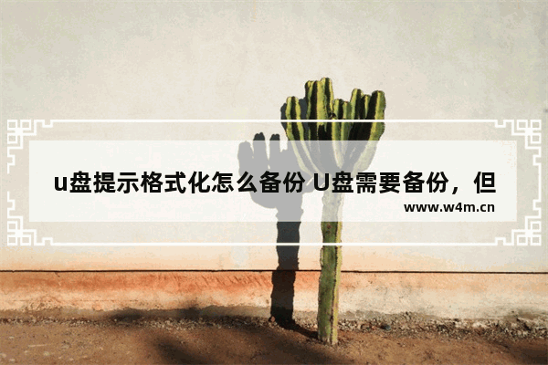 u盘提示格式化怎么备份 U盘需要备份，但是出现格式化提示怎么办？