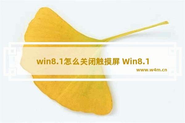 win8.1怎么关闭触摸屏 Win8.1如何禁用触摸屏？