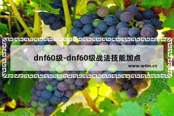 dnf60级-dnf60级战法技能加点