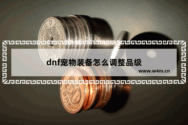 dnf宠物装备怎么调整品级