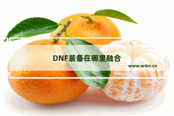 DNF装备在哪里融合