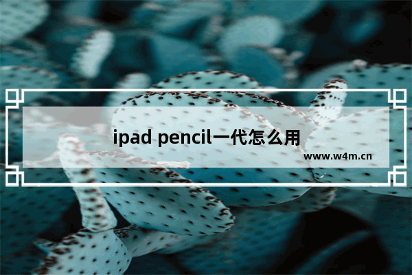 ipad pencil一代怎么用