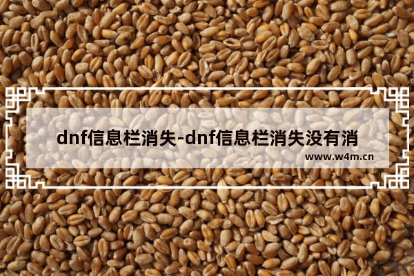 dnf信息栏消失-dnf信息栏消失没有消息