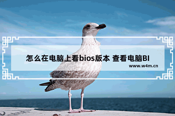 怎么在电脑上看bios版本 查看电脑BIOS版本的方法