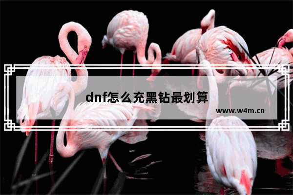 dnf怎么充黑钻最划算