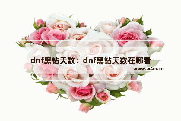 dnf黑钻天数：dnf黑钻天数在哪看