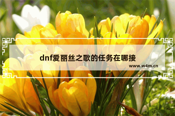 dnf爱丽丝之歌的任务在哪接