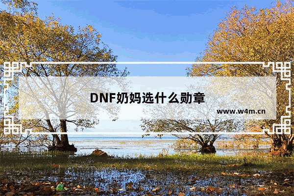 DNF奶妈选什么勋章