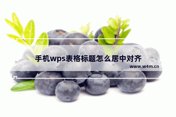 手机wps表格标题怎么居中对齐