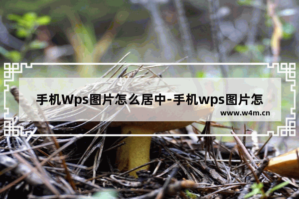 手机Wps图片怎么居中-手机wps图片怎么居中对齐