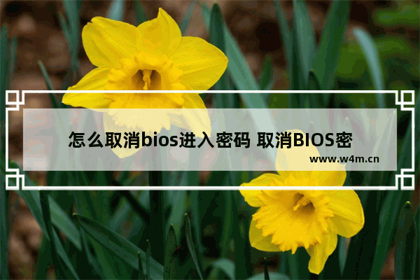 怎么取消bios进入密码 取消BIOS密码的方法