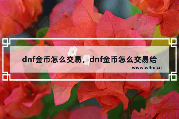 dnf金币怎么交易，dnf金币怎么交易给小号