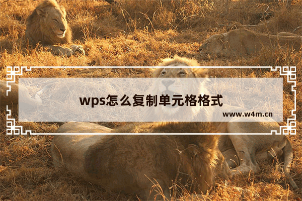 wps怎么复制单元格格式