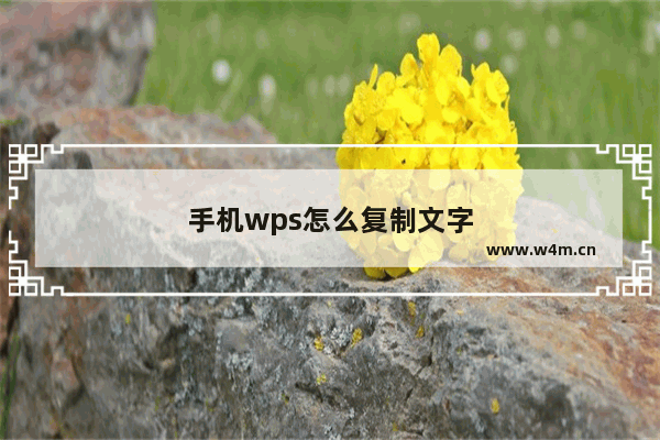 手机wps怎么复制文字