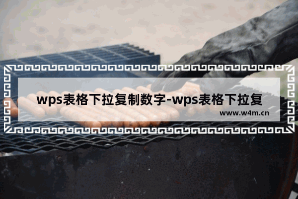 wps表格下拉复制数字-wps表格下拉复制数字不变