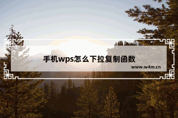 手机wps怎么下拉复制函数