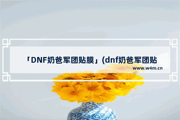 「DNF奶爸军团贴膜」(dnf奶爸军团贴膜选择)