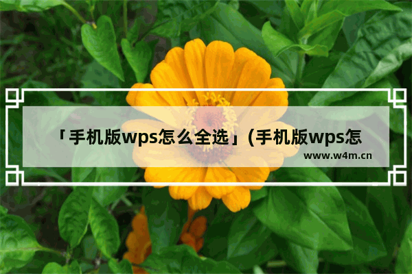 「手机版wps怎么全选」(手机版wps怎么全选表格)