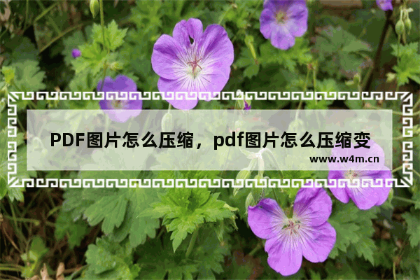 PDF图片怎么压缩，pdf图片怎么压缩变小