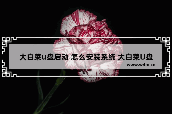 大白菜u盘启动 怎么安装系统 大白菜U盘安装系统攻略