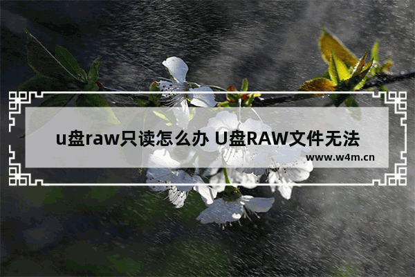 u盘raw只读怎么办 U盘RAW文件无法正常读取怎么办？