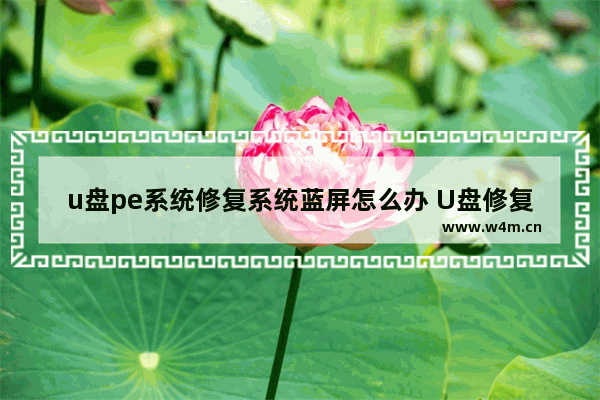 u盘pe系统修复系统蓝屏怎么办 U盘修复系统蓝屏教程