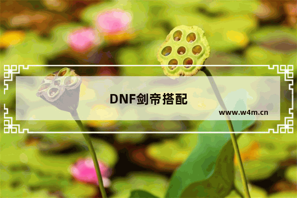 DNF剑帝搭配