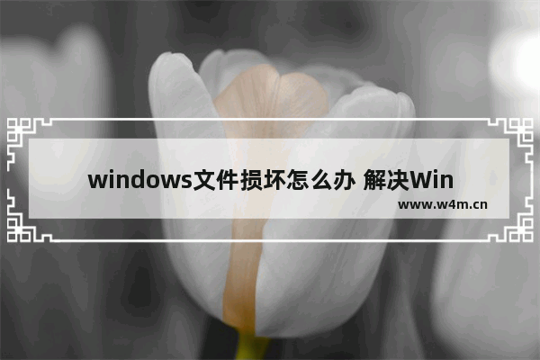 windows文件损坏怎么办 解决Windows文件损坏的方法