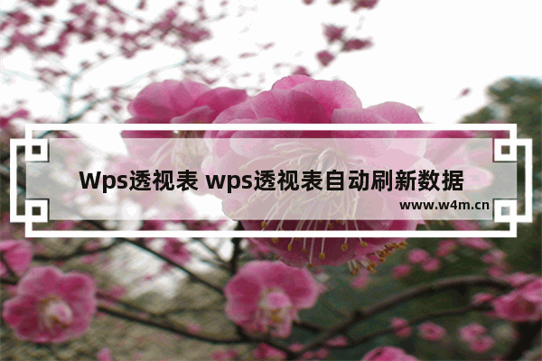 Wps透视表 wps透视表自动刷新数据