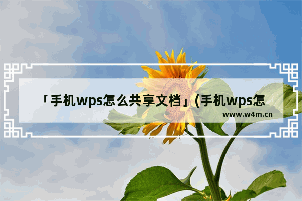 「手机wps怎么共享文档」(手机wps怎么共享文档在线编辑)