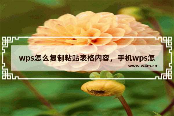 wps怎么复制粘贴表格内容，手机wps怎么复制粘贴表格内容