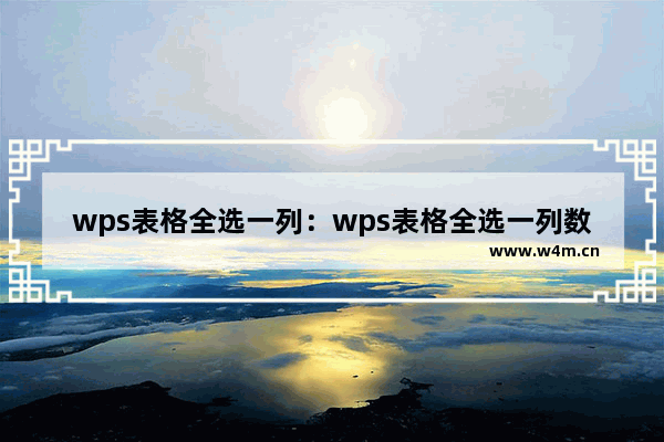 wps表格全选一列：wps表格全选一列数字内容