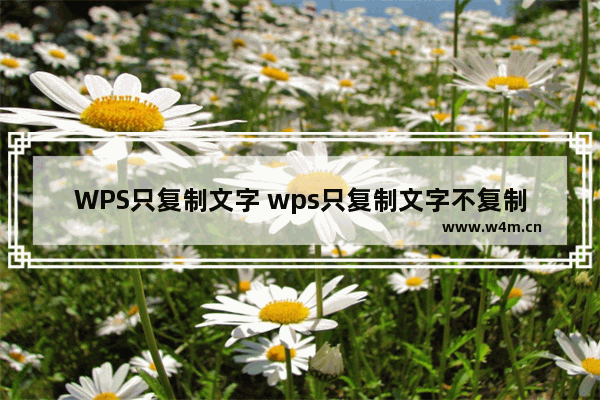 WPS只复制文字 wps只复制文字不复制图片