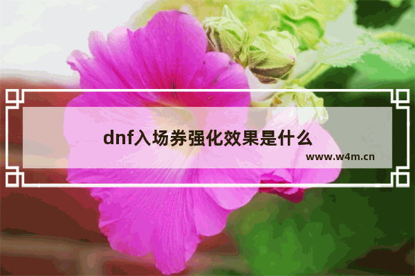 dnf入场券强化效果是什么