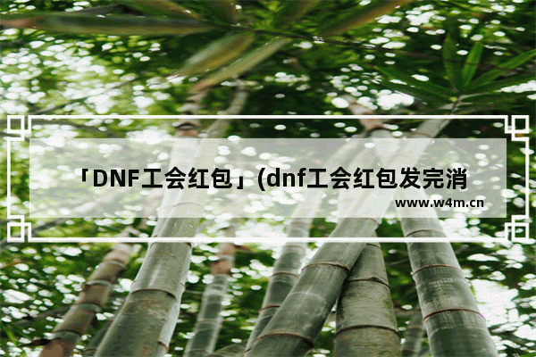 「DNF工会红包」(dnf工会红包发完消失了)