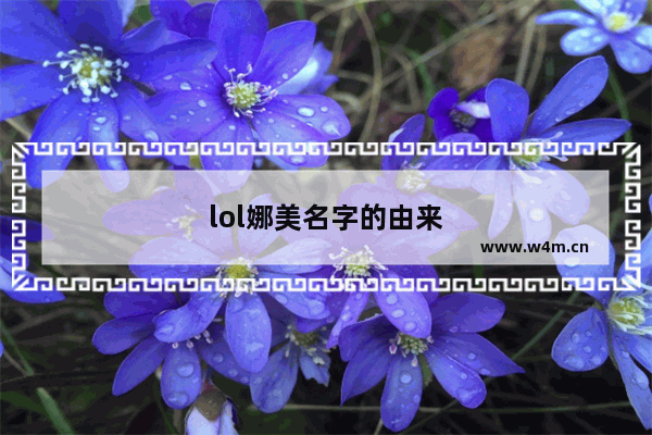 lol娜美名字的由来