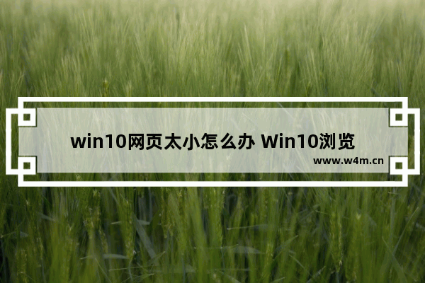 win10网页太小怎么办 Win10浏览器页面缩小怎么办