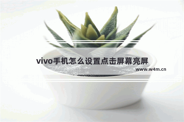 vivo手机怎么设置点击屏幕亮屏