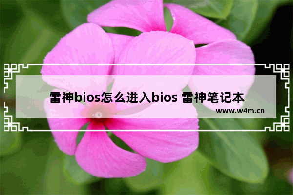 雷神bios怎么进入bios 雷神笔记本如何进入bios