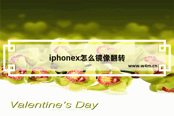 iphonex怎么镜像翻转