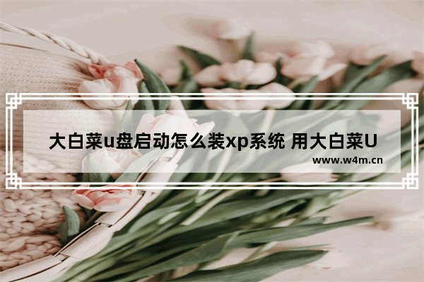 大白菜u盘启动怎么装xp系统 用大白菜U盘启动安装XP系统