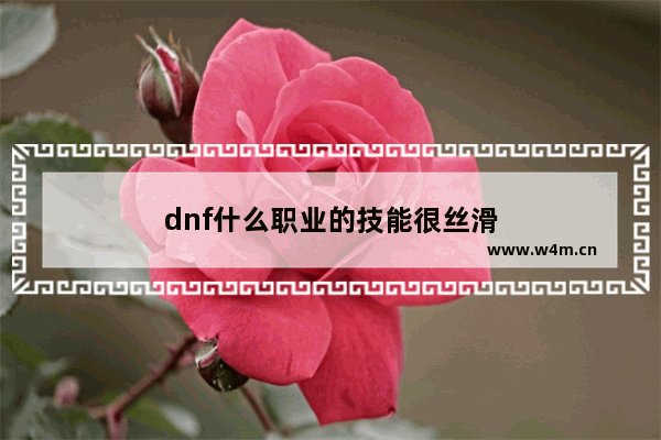 dnf什么职业的技能很丝滑