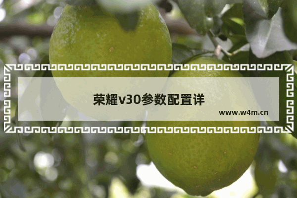 荣耀v30参数配置详