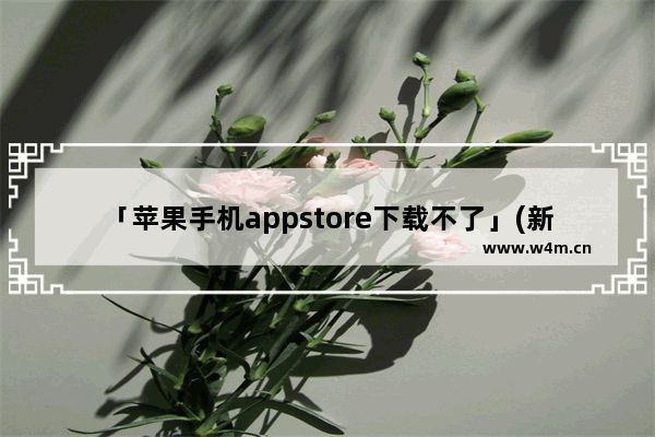 「苹果手机appstore下载不了」(新买的苹果手机appstore下载不了软件)