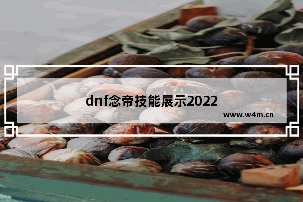 dnf念帝技能展示2022