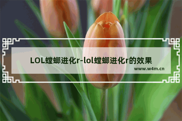 LOL螳螂进化r-lol螳螂进化r的效果