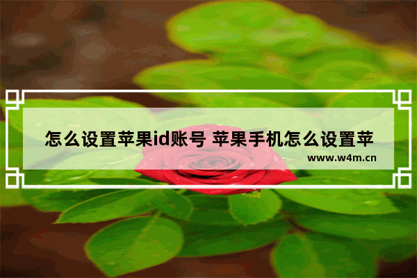 怎么设置苹果id账号 苹果手机怎么设置苹果id账号