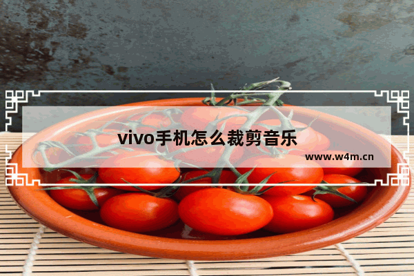 vivo手机怎么裁剪音乐